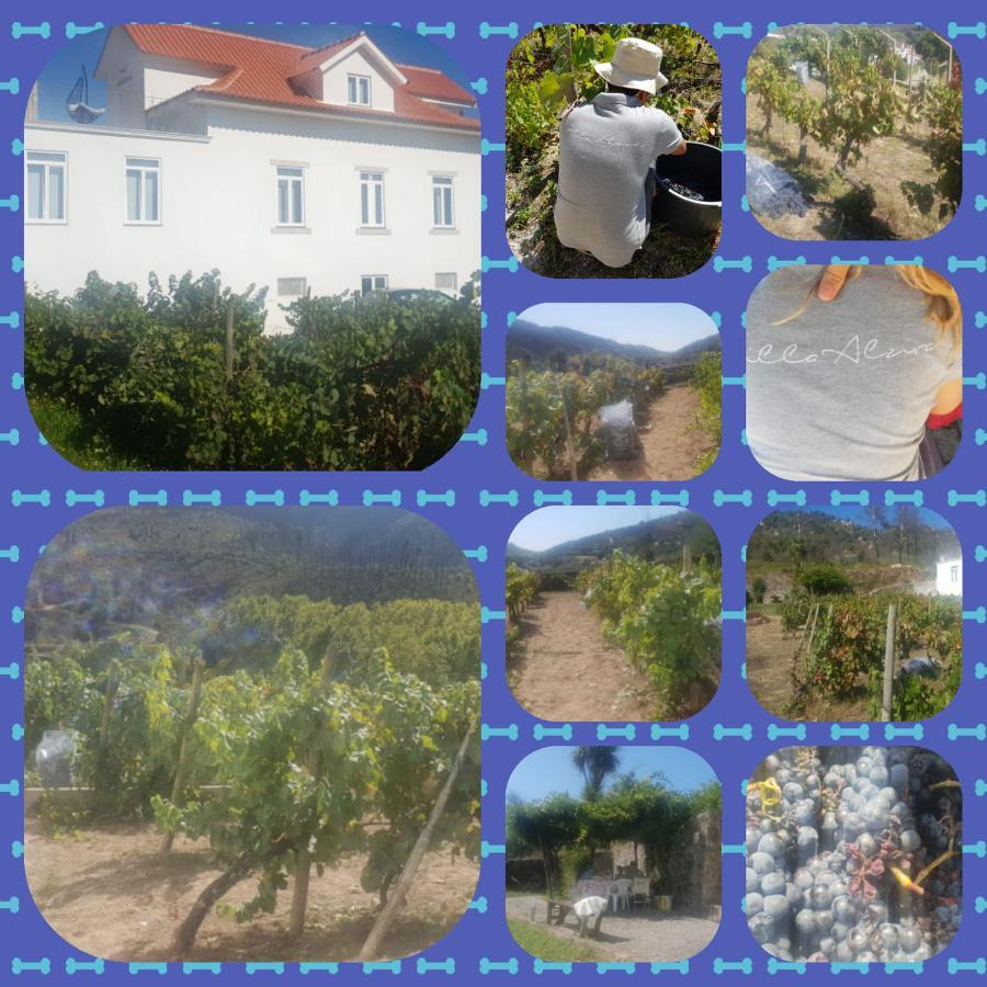 Villa Alzira Seia Exterior foto